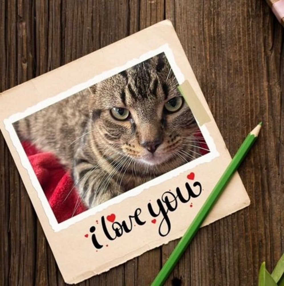 Meet your Posher, Jessa